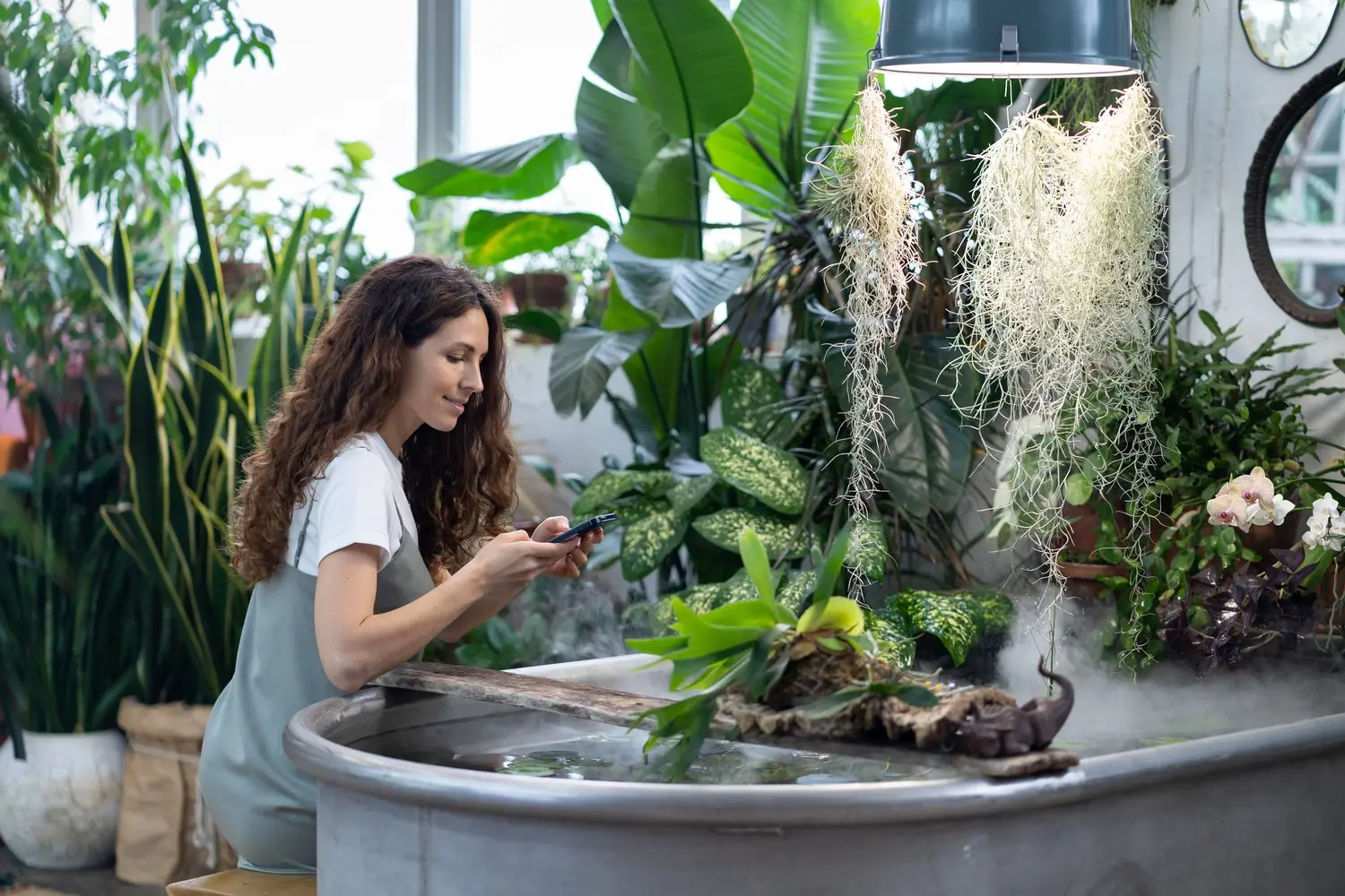 Biophilic design: jak wprowadzić naturę do wnętrz?