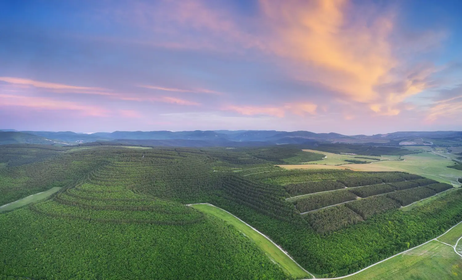 Tapety panoramiczne: aranżacja ścian i dobór motywów