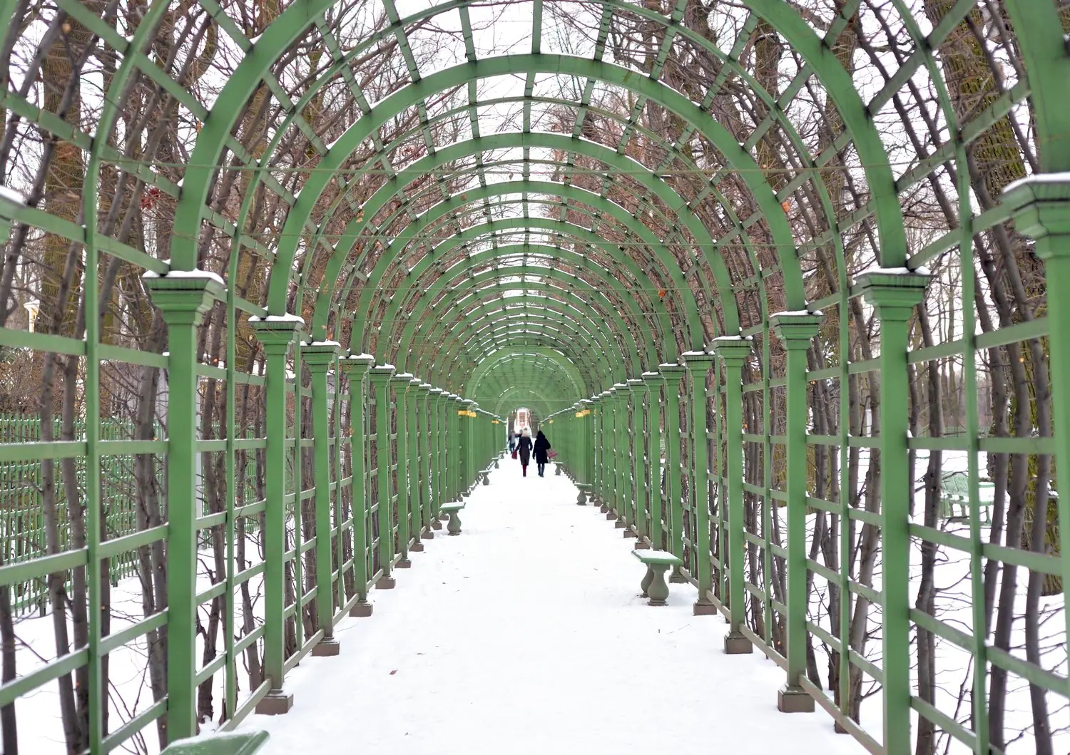 Czym się różni wintergarden od ogrodu zimowego w projektowaniu?